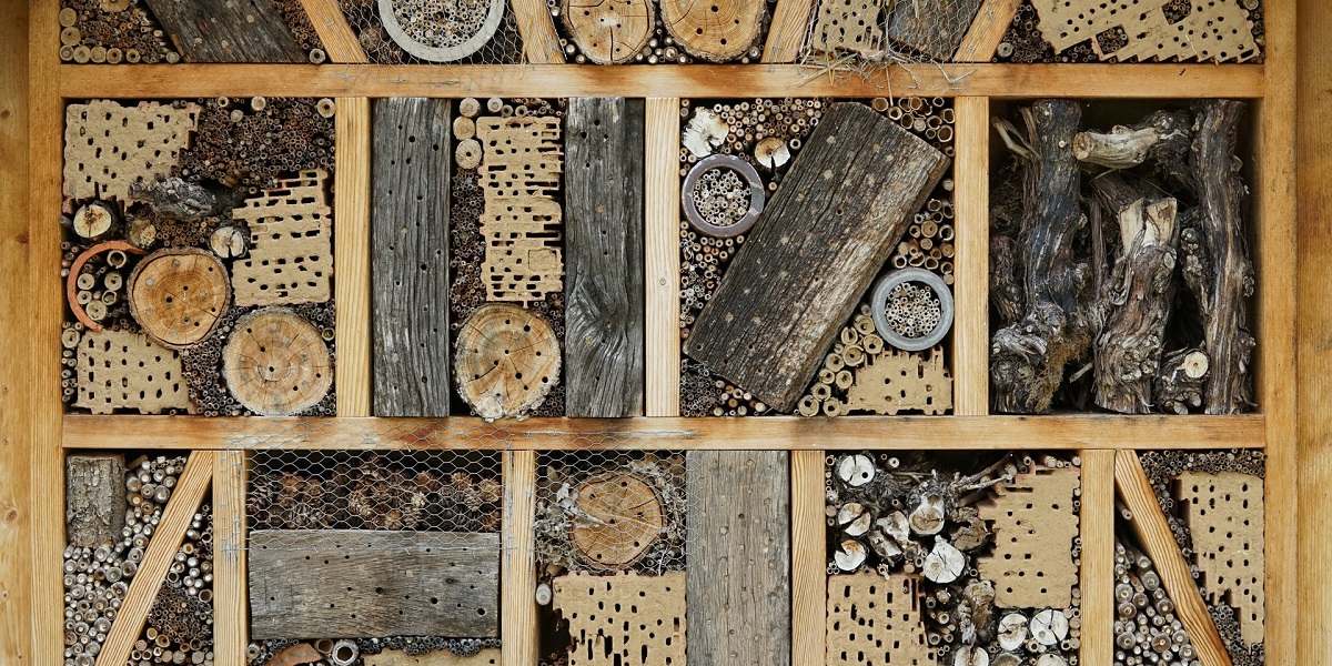 A wildlife stack or 'bug hotel' for pollinating insects to live, lay eggs, and hibernate