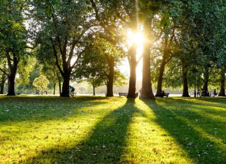Hyde Park in London