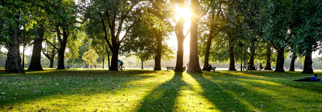 Hyde Park in London.